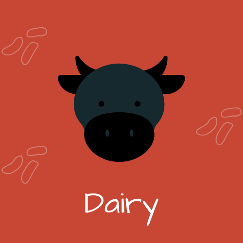 Dairy